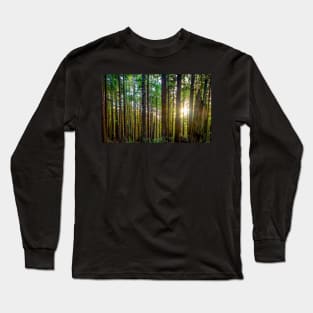 Sunshine Through a Redwood Forest Long Sleeve T-Shirt